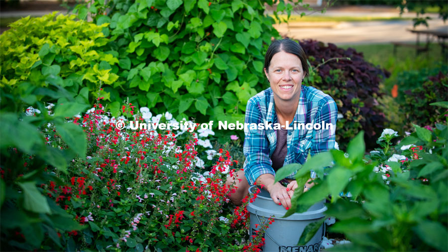 Ann Powers Research Technician, Agronomy and Horticulture, works in the Backyard Farmer Gardens. Today she is using a technique called deadheading to stimulate growth of new blossoms. August 6, 2019. Photo by Gregory Nathan / University Communication.